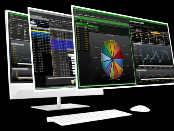 Trading Terminal (IMDT)